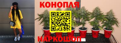 мяу мяу мука Рязань