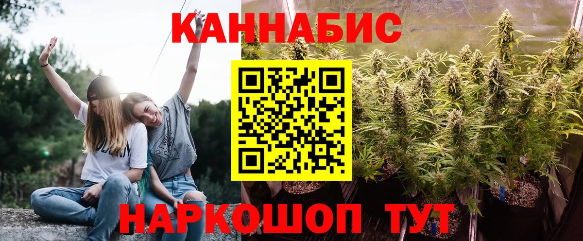 Бошки Шишки планчик  Вход с VPN  Каннабис Bruce Banner  МАРИХУАНА ГИДРОПОН  Новоалтайск 